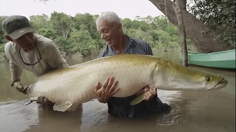 Reel Time The beast Arapaima