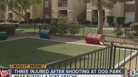 Three people hospitalized after dog park shooting