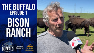 The Buffalo Ep. 1: Heading to the Bison Ranch