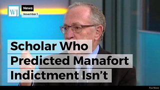 Scholar Who Predicted Manafort Indictment Isn't Buying the Hype: Mueller 'Has To Go After Somebody'