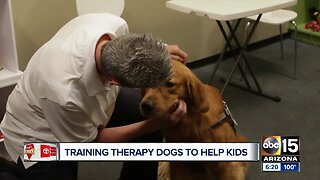 Woman helps people access therapy dogs