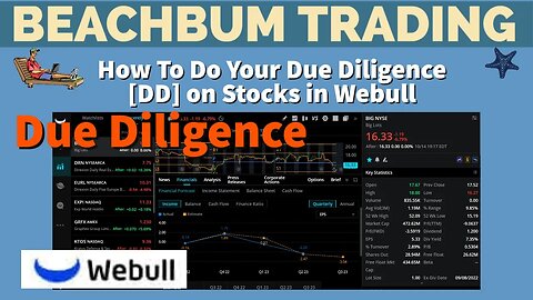 How To Do Your Due Diligence [DD] on Stocks in Webull | How To Do Due Diligence on Stocks | Tutorial