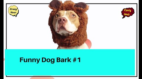 Funny Dog Barks #1