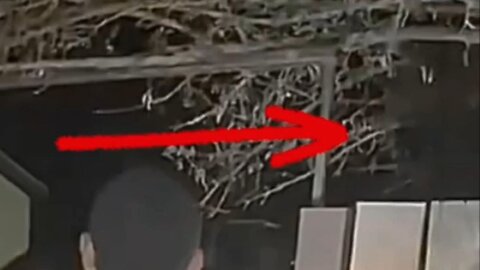 Las Vegas 'Alien' Video Showing 'Eight-Foot-Tall Creatures In Cloaks' Creeping Around Yard