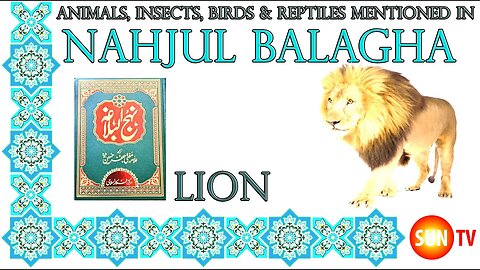 Lion - Animals, Insects, Reptiles & Amphibians mentioned in Nahjul Balagha (Peak of Eloquence)