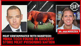 Dr. Ana Mihalcea -Meat Contaminated With NANOTECH