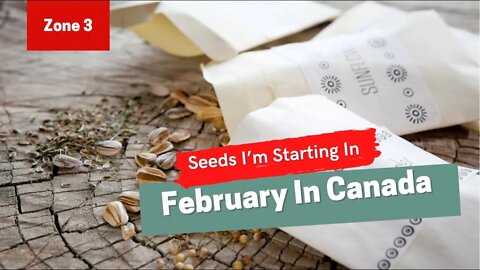 Seed Starting In Canada. Seeds You Can Start In February In A Canadian Climate? Gardening in Canada