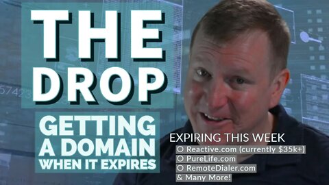 Domain Name Drops and Deleted Domains - Oct 24 - Domain To Profit - #117
