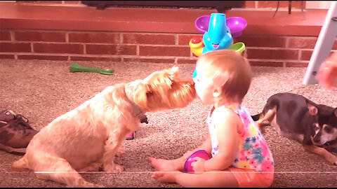 Cutest Babies Play With Dogs And Cats Compilation Cool Peachy