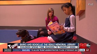 Barks and Books at Beale Library