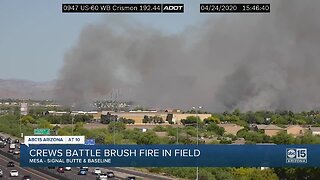 Crews battle brush fire in field