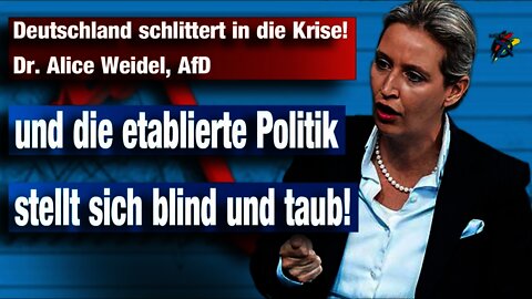 Deutschland schlittert in die Krise! Dr. Alice Weidel, AfD