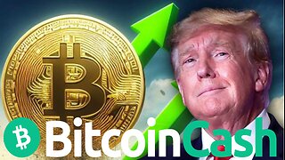 Trump loves Bitcoin Cash. Come get some to try out before it goes mega viral!