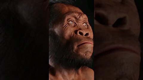 Homo naledi'nin İnsan Evrimindeki Tartışmalı Etkisi