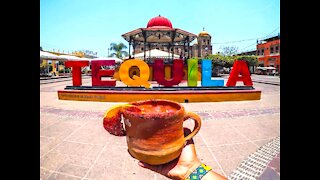NO WAY! 7 things you never knew about tequila - ABC15 Digital