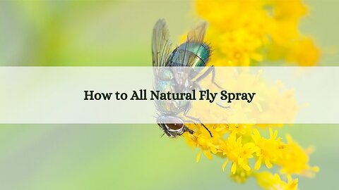 The Best All Natural Fly Spray