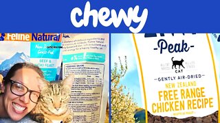 Best cat food brands on Chewy (raw, wet, dry)