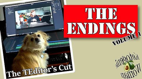 The Endings | TEDitor's Cut | Completely Utterly Pointless Fun to Celebrate 300 Videos!