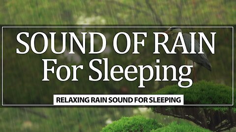 Sound of Rain to Sleep and Relax