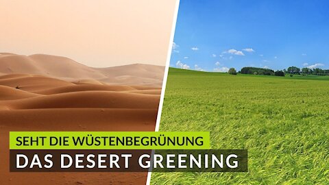 Seht die Wüstenbegrünung - das Desert Greening - in Djanan im Winter '16( Die Wirkung der SHA)