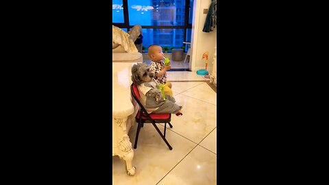 Terrifying Toddler Drives Wild Dog🙀🙀|Funny Memes #cartoon #meme #rumble #comedy #trynottolaugh