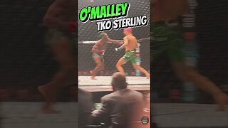 Sean O'Malley TKOs Aljamain Sterling at UFC 292 #ufcshorts #mma #ufc292 #ufc