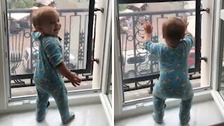 Toddler Dances To 'Baby Shark' Song With Hysterical Moves