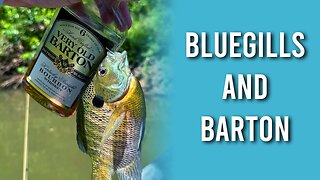 The Ultimate Guide to Fishing Bluegills and Barton on the Harpeth River
