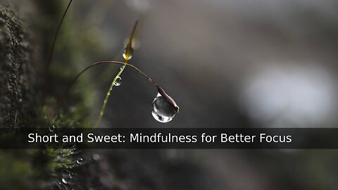 Short and Sweet: Mindfulness for Better Focus