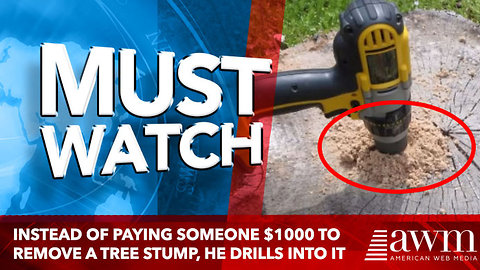 Instead Of Paying Someone $1000 To Remove A Tree Stump, He Drills Into The Center And Pours Oil
