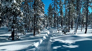 Winter Snow 4K Hiking in GORGEOUS Central Oregon @ Deschutes National Forest @ Swampy Lakes Sno-Park