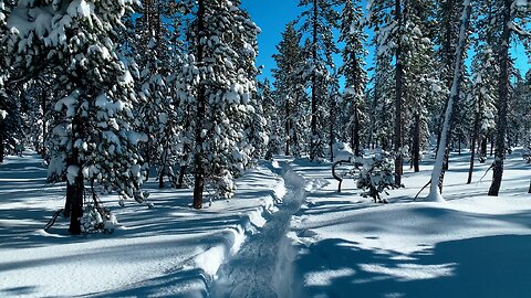 Winter Snow 4K Hiking in GORGEOUS Central Oregon @ Deschutes National Forest @ Swampy Lakes Sno-Park