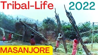 Tribal life massanjore jharkhand@mithunutpal