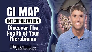 GI MAP Interpretation: Discover the Health of Your Microbiome