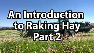 An Introduction to Raking Hay (Part 2)