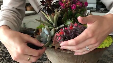 How to Propagate Succulents from Leaves