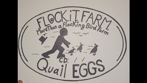 Flock it Farm: Testing Quick Quail shears: Warning Graphic Content