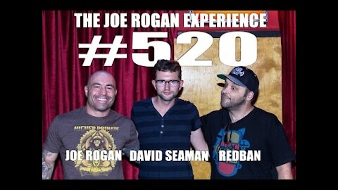 Joe Rogan Experience #520 - David Seaman`