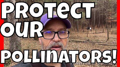 Protect Our Pollinators Part 1 | Meet the Pollinators and the Protectors | AldermanFarms