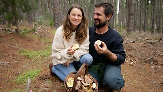 Foraging & Preserving Wild Mushrooms | Weaning the Piglets - Free Range Homestead Ep 42