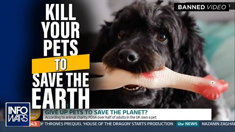 Murder Your Dog and Cat: MSM Officially Calls for Extermination of Pets to Save Earth