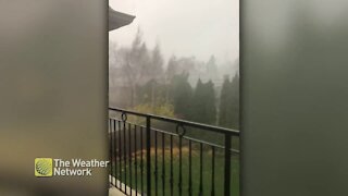Rain blows across yard during Ontario storm