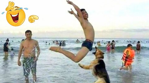 The FUNNIEST Dog Videos 🤣 | BEST Compilation Funny Videos