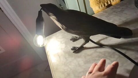 Temu review: The Gothic Crow Lamp, Cute Black Raven Desk Light