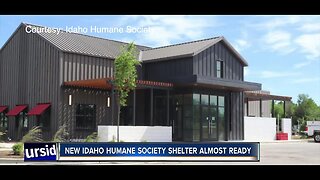 New Idaho Humane Society shelter almost ready