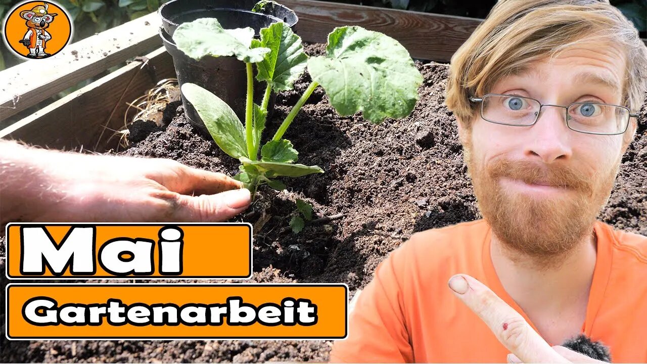 Du wirst Kürbis nur noch so anbauen | Mischkultur Zucchini ...