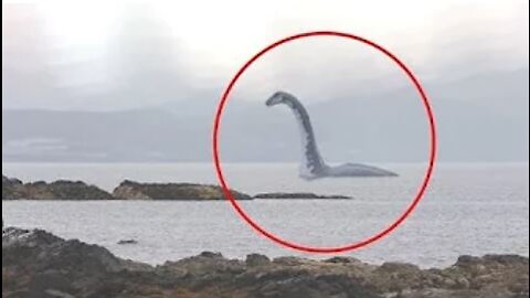 5 Sea Serpent Caught By Camera
