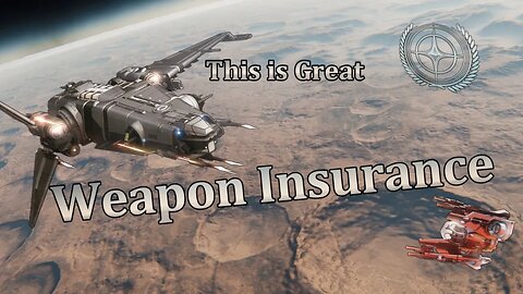 It's basically Weapon Insurance