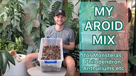 My Aroid mix for Monsteras, Philodendron, Anthuriums etc #tutorial