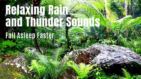 Relaxing Rain and Thunder Sounds 🌿 Relaxation Sounds, Fall Asleep Faster